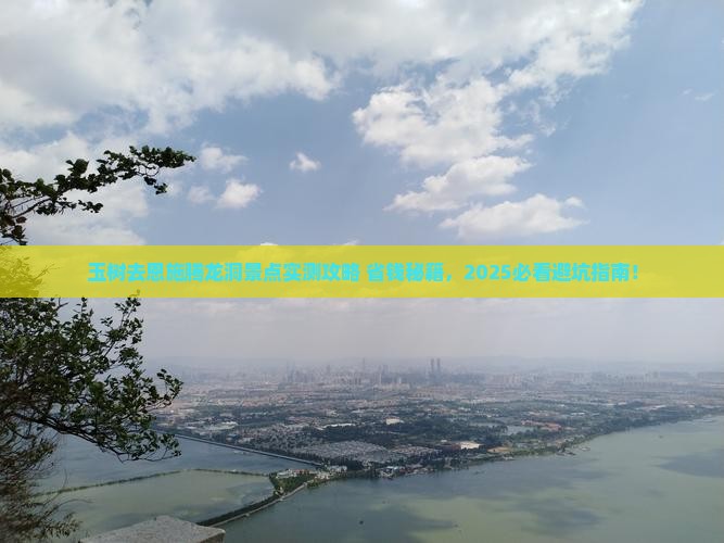 玉树去恩施腾龙洞景点实测攻略+省钱秘籍，2025必看避坑指南！