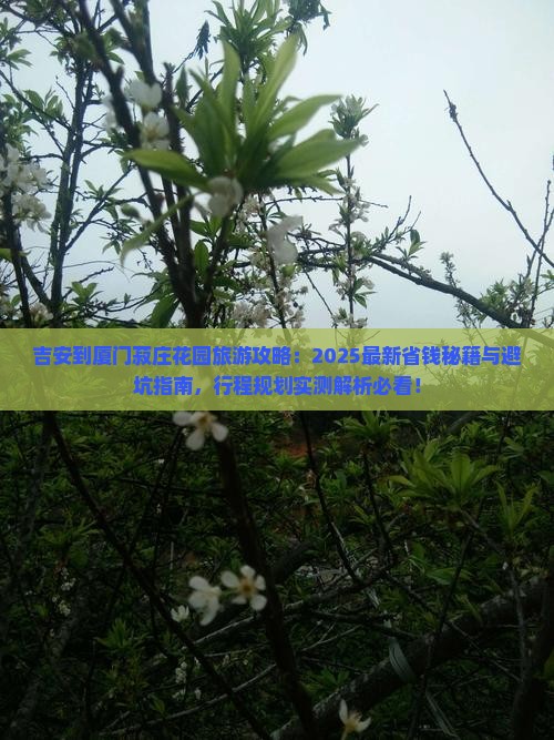 吉安到厦门菽庄花园旅游